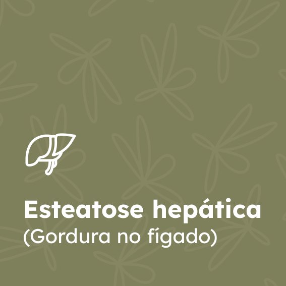 Ícone de um fígado representando a condição de "esteatose hepática (gordura no fígado)"